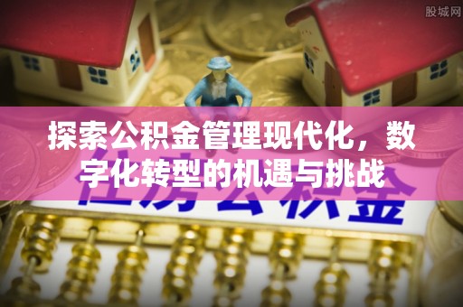 泸定探索公积金管理现代化，数字化转型的机遇与挑战