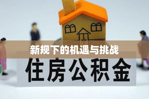 泸定新规下的机遇与挑战