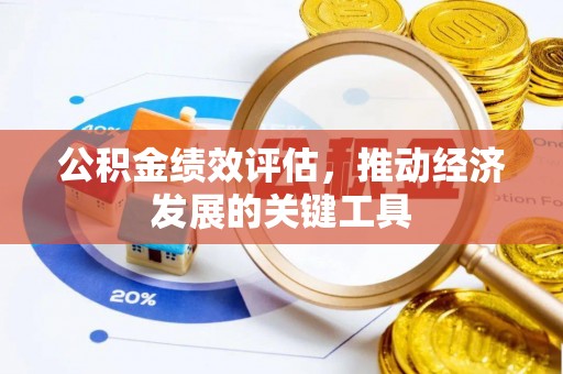 泸定公积金绩效评估，推动经济发展的关键工具
