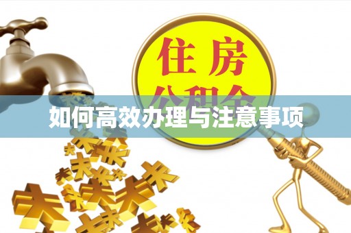 泸定如何高效办理与注意事项