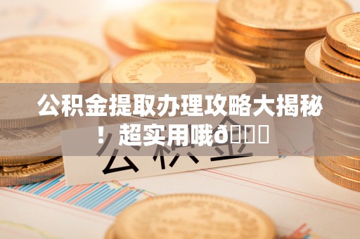 泸定公积金提取办理攻略大揭秘！超实用哦😉