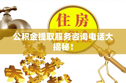 泸定公积金提取服务咨询电话大揭秘！