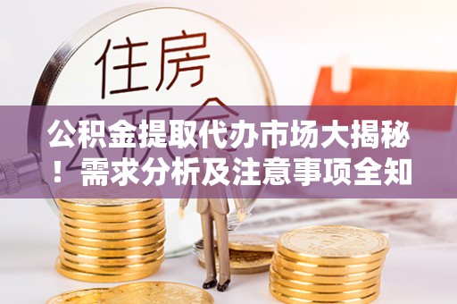 泸定公积金提取代办市场大揭秘！需求分析及注意事项全知道