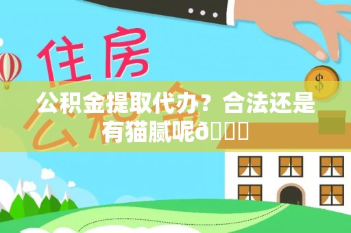 泸定公积金提取代办？合法还是有猫腻呢😏