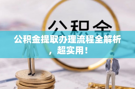 泸定公积金提取办理流程全解析，超实用！