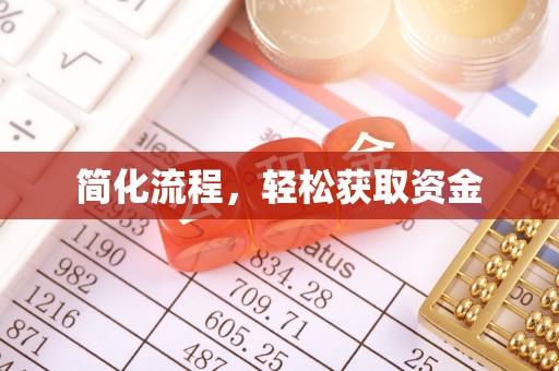 泸定简化流程，轻松获取资金