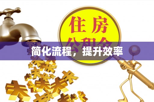 泸定简化流程，提升效率