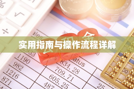 泸定实用指南与操作流程详解