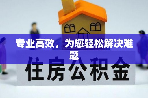 泸定专业高效，为您轻松解决难题