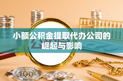 泸定小额公积金提取代办公司的崛起与影响